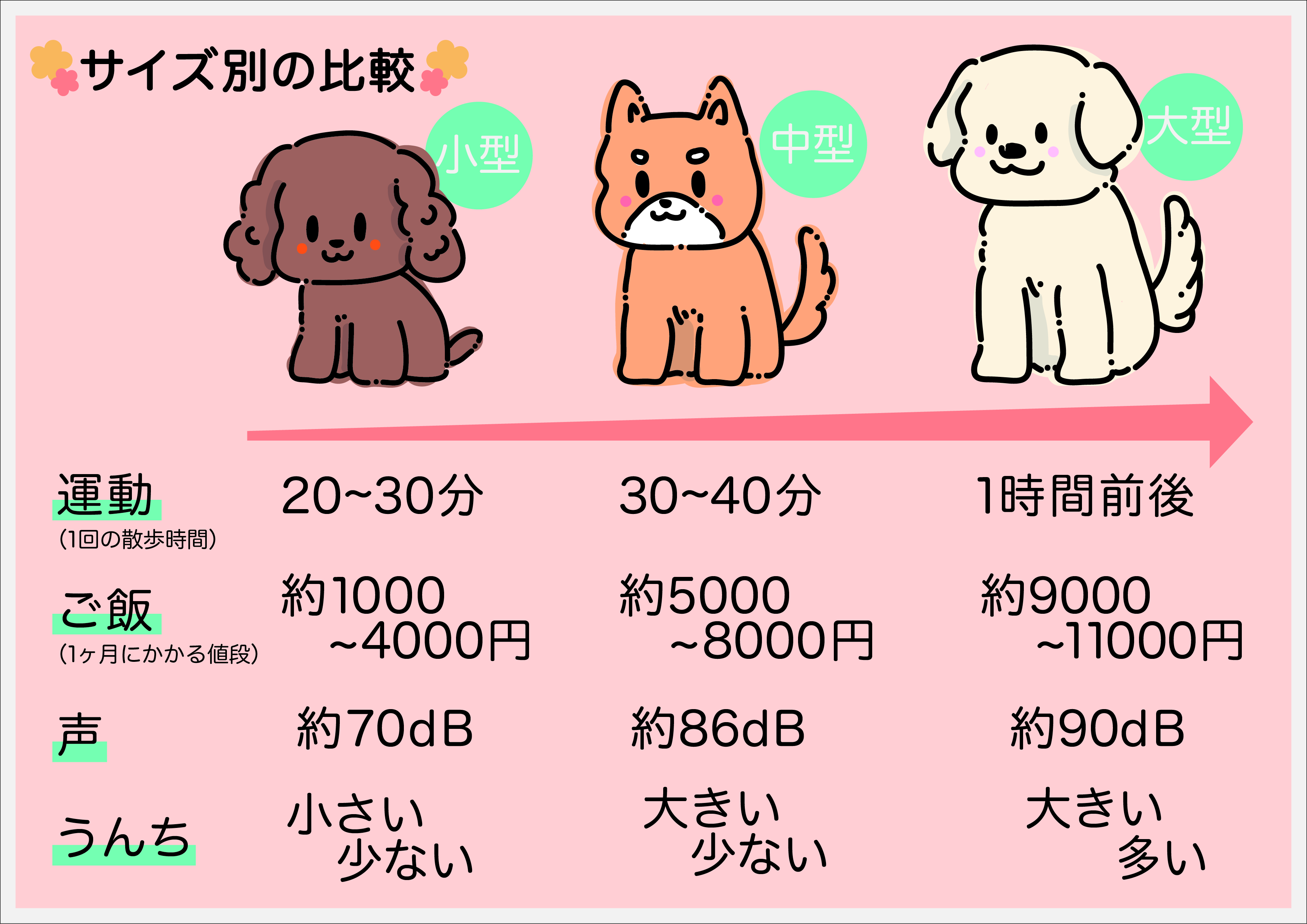 飼いやすい犬種ベスト4 初心者が本当に飼いやすい犬種は 専門家の意見を交えて解説しました トイプードル ブリーダー直送センター