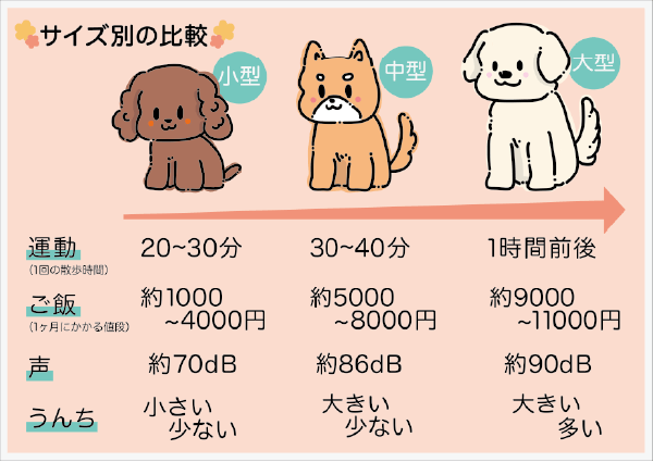 飼いやすい犬ベスト4 初心者が本当に飼いやすい犬種は トイプードル ティーカッププードルブリーダー直送センター