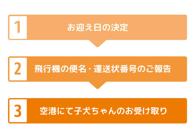 トイプードルの空輸の流れ