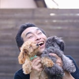 トイプードル・ティーカッププードルブリーダー直送センター店長 藤田晃治