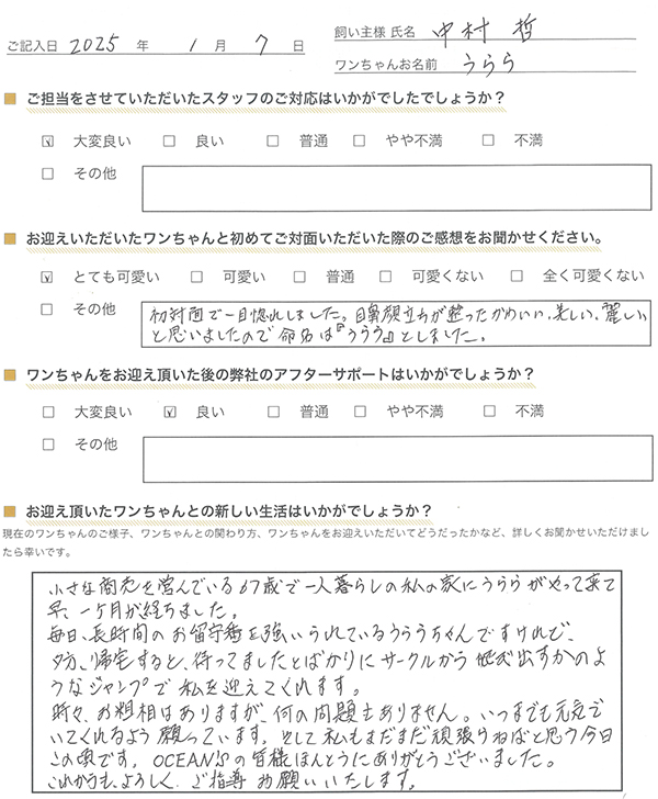 中村哲様からの声