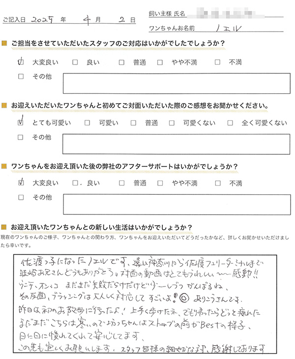 新潟県のW様からの声
