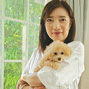 クレムちゃんに続き2頭目ニコちゃんをお迎え頂いた小野寺様からお客様の声を頂きました！