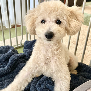 東京都のT様様の写真