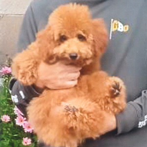 阿部清子様の写真