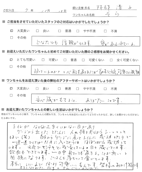 阿部清子様からの声