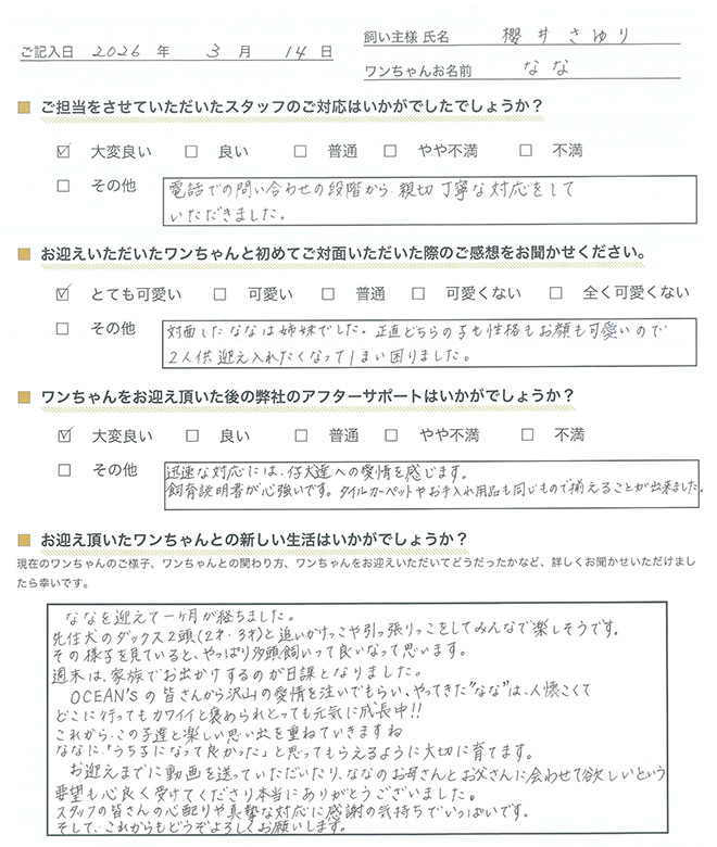 櫻井さゆり様からの声