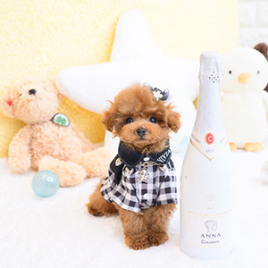 塩川様のワンちゃん写真