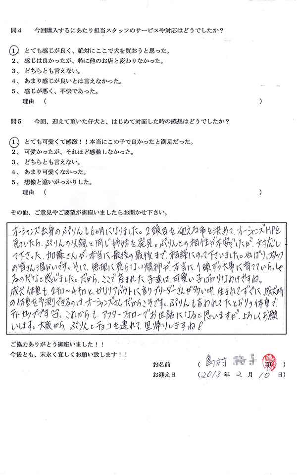 2頭目の島村様からの声