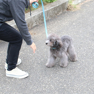 狩野　弘進様のワンちゃん写真