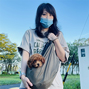 レッドのトイプードル、にこちゃんをお迎えいただいた永井さまよりご感想を頂きました！